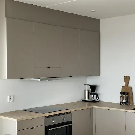 New Amazing Amartment By The Water In Amalienborg Brygge *