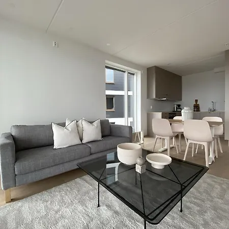 아파트 New Amazing Amartment By The Water In Amalienborg Brygge *